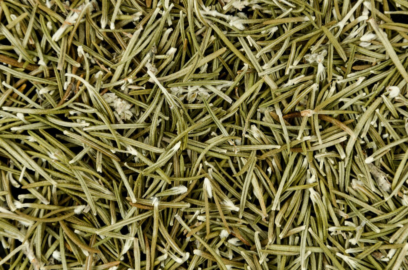 monton-hojas-verdes-secas_23-2148211073.jpg
