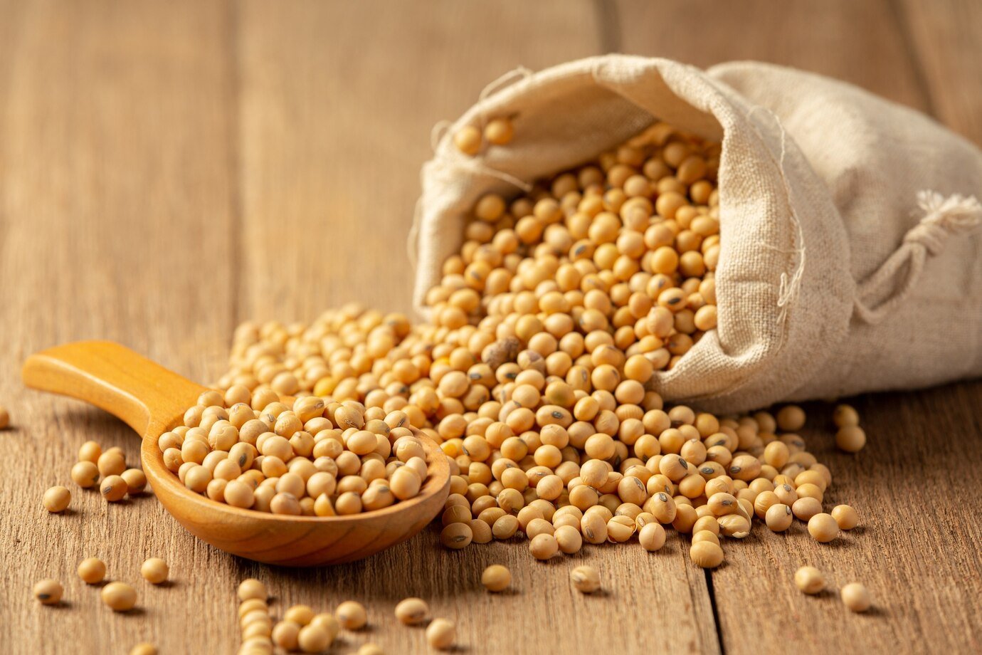 salsa-soja-soja-piso-madera-salsa-soja-concepto-nutricion-alimentaria_1150-26321.jpg